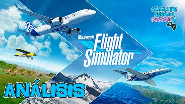 Análisis de Microsoft flight simulator en PC